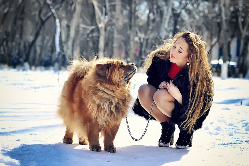 Woman with Chow Chow Dog