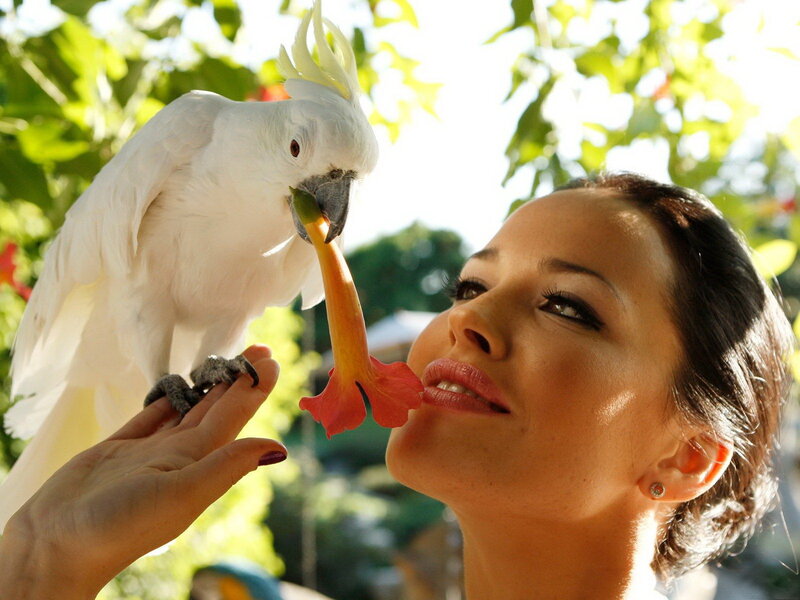 Woman with Cockatoo — White