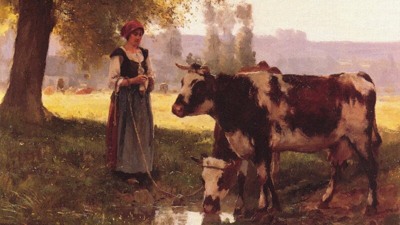 Woman with Cows in Field