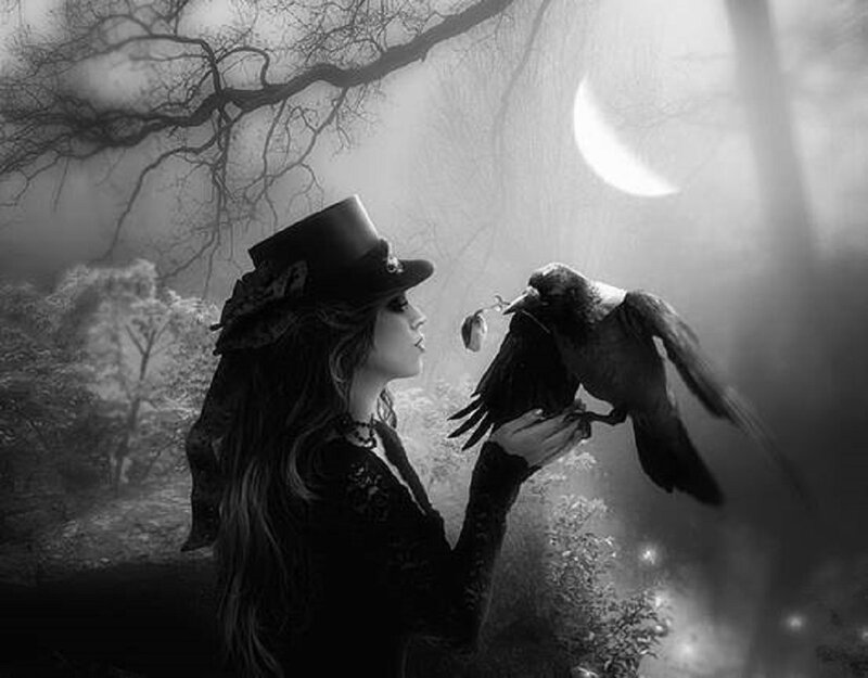 Woman with Crow — Black, Mysterious