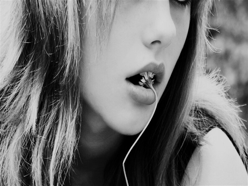 Woman with Daisy in Mouth — Black