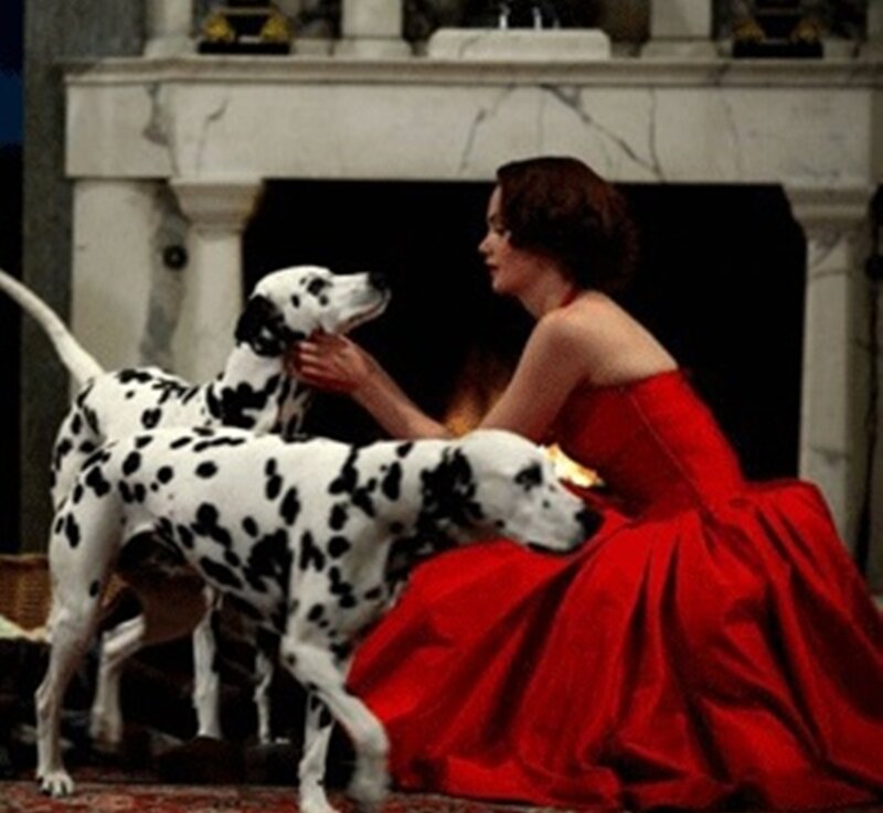 Woman with Dalmatian Dogs