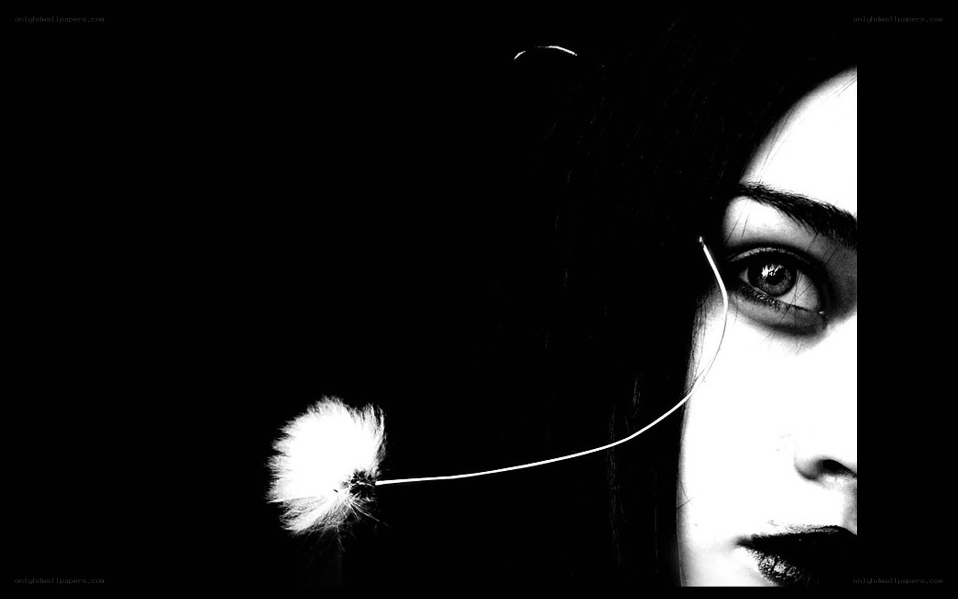 woman with dandelion seed