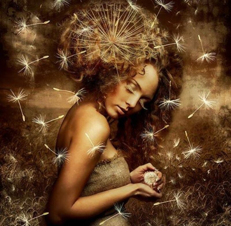 Woman with Dandelion Seeds — Brown