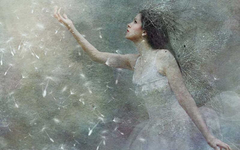 woman with dandelion seeds