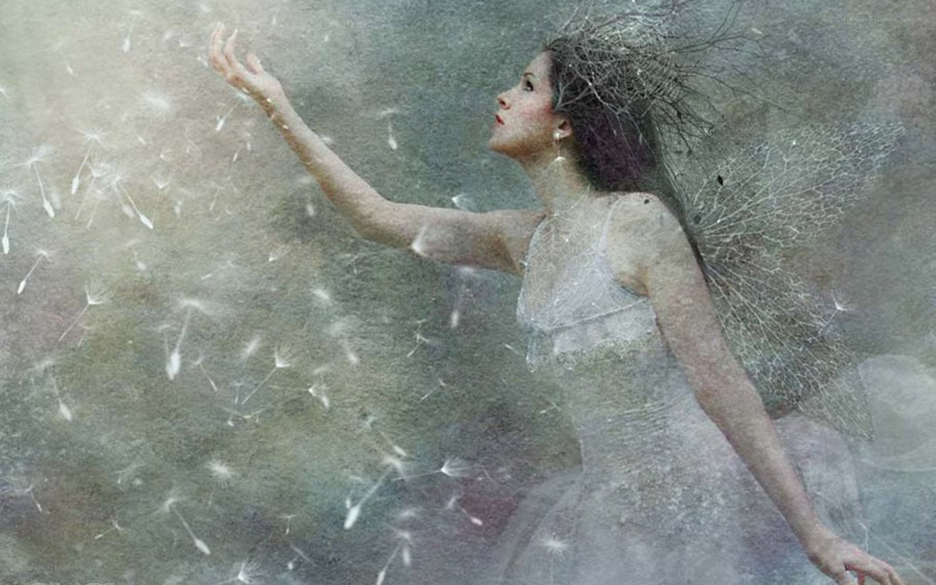 woman with dandelion seeds