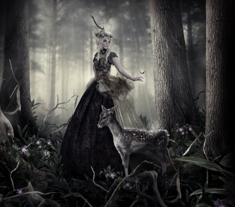 Woman with Deer in Forest — Black, Mystical
