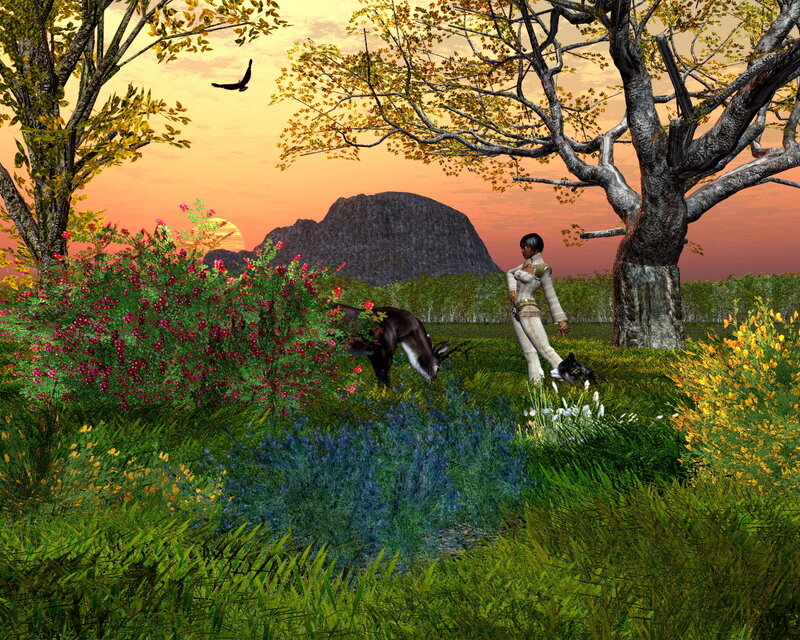 woman with deer in sunset meadow