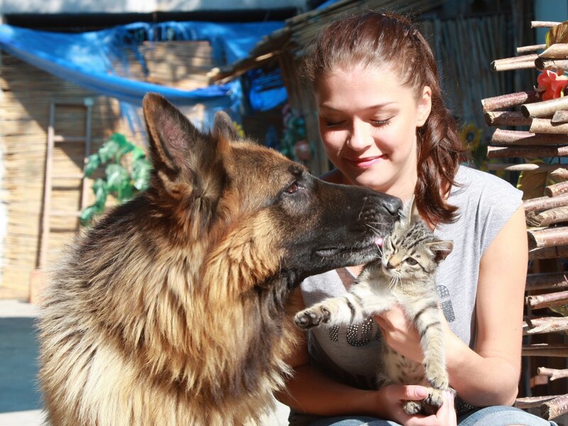 Woman with Dog and Cat
