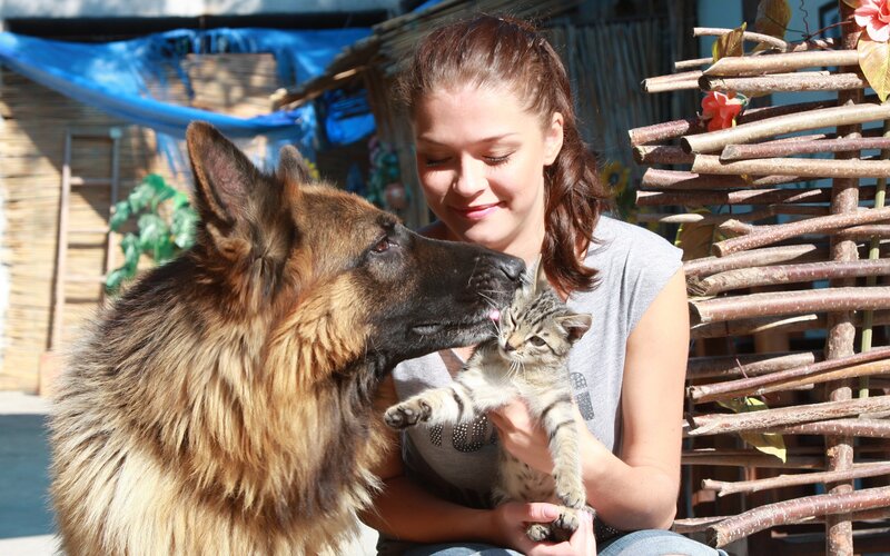 Woman with dog and kitten