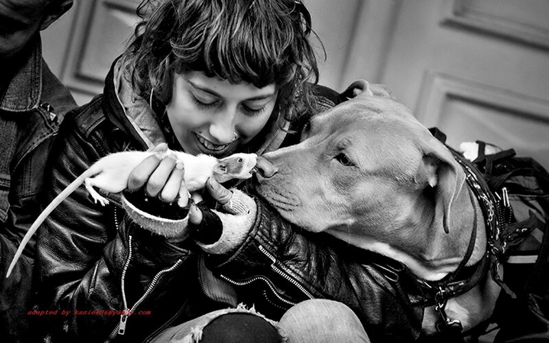 woman with dog and rat