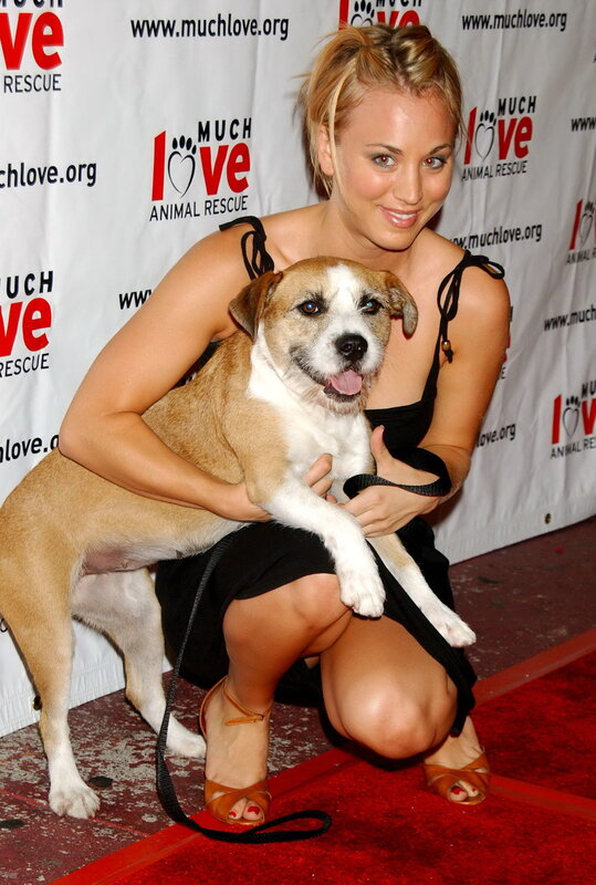 Woman with dog at event
