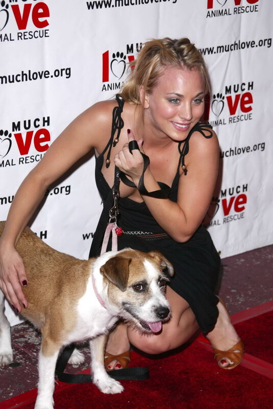 Woman with dog at event