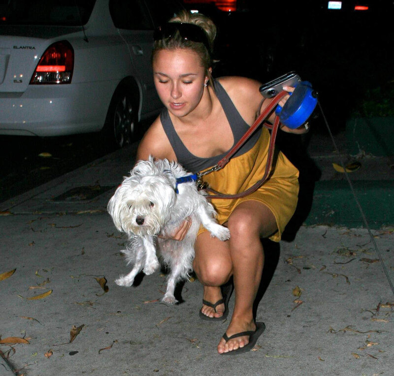 Woman with dog at night