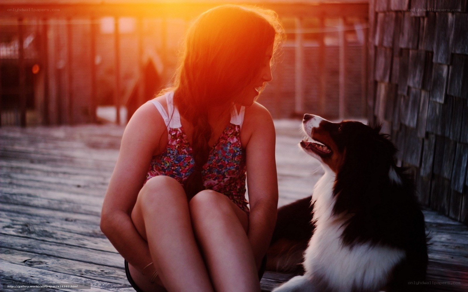 woman with dog at sunset