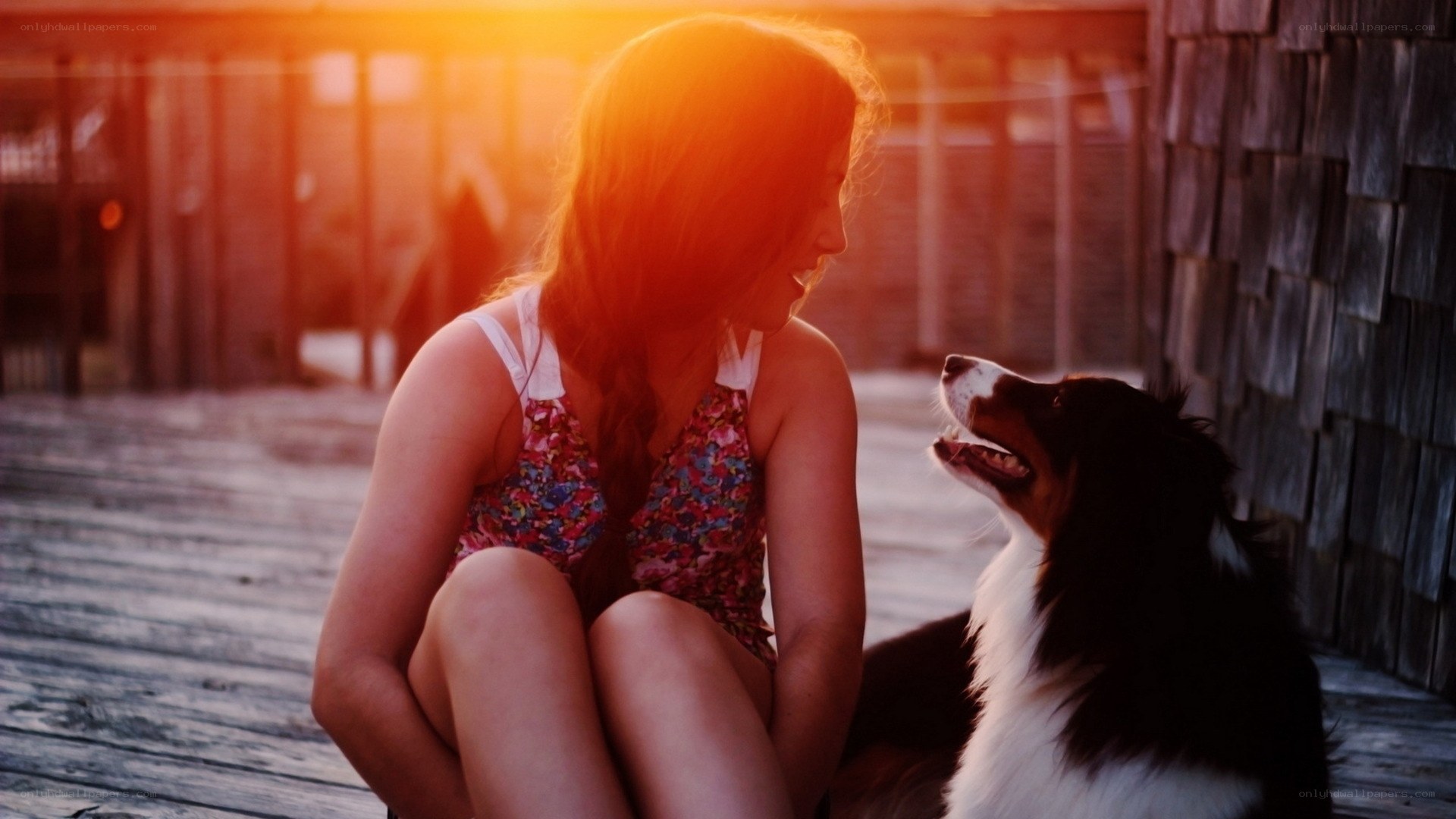 woman with dog at sunset