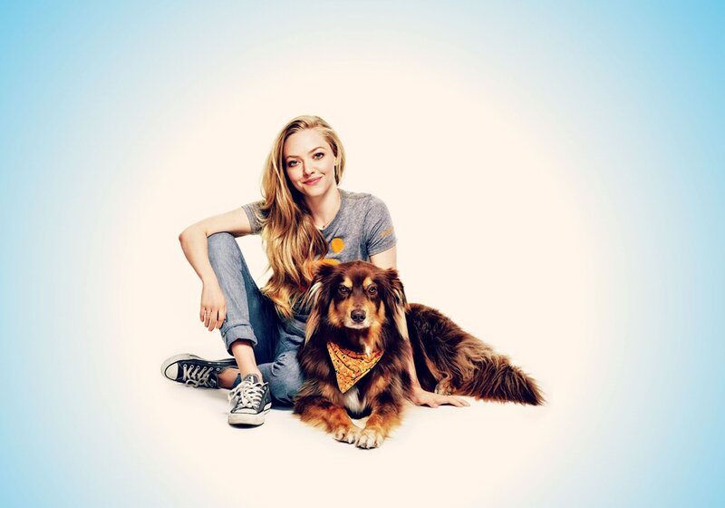 Woman with Dog — Blue, Calm