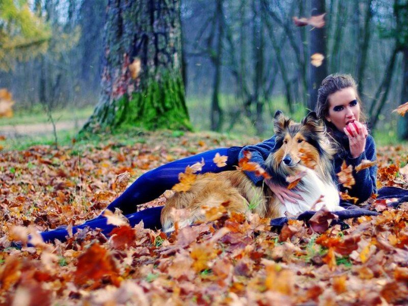 Woman with dog in autumn leaves