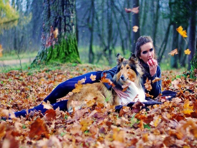 Woman with dog in autumn leaves