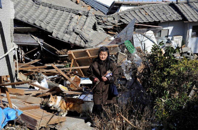 Woman with Dog in Debris
