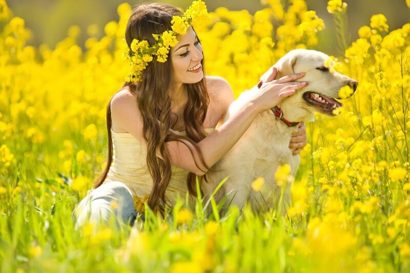 Woman with Dog in Field — Yellow