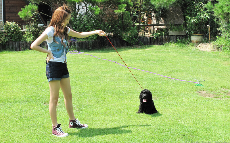 Woman with dog in garden