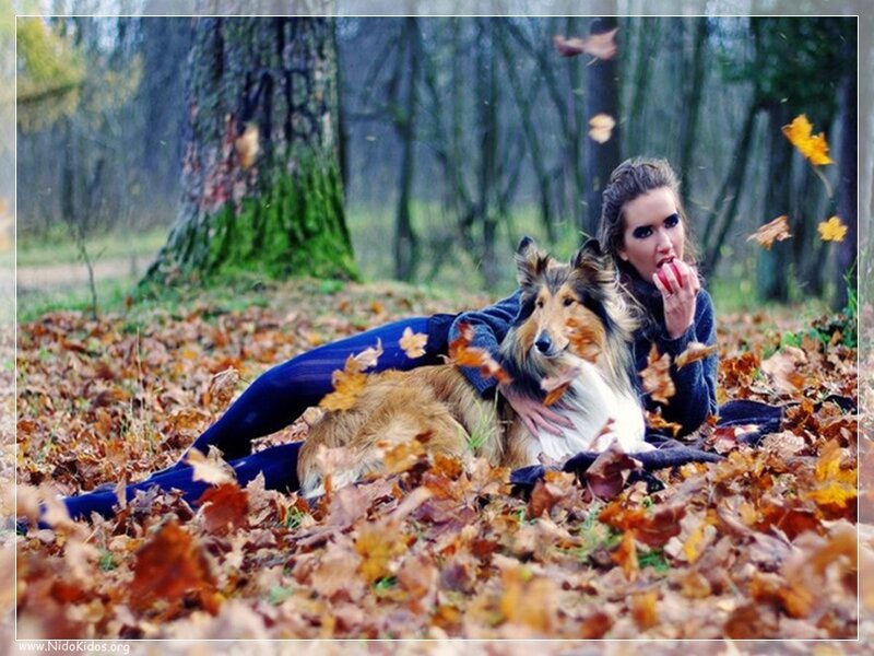 Woman with Dog in Leaves
