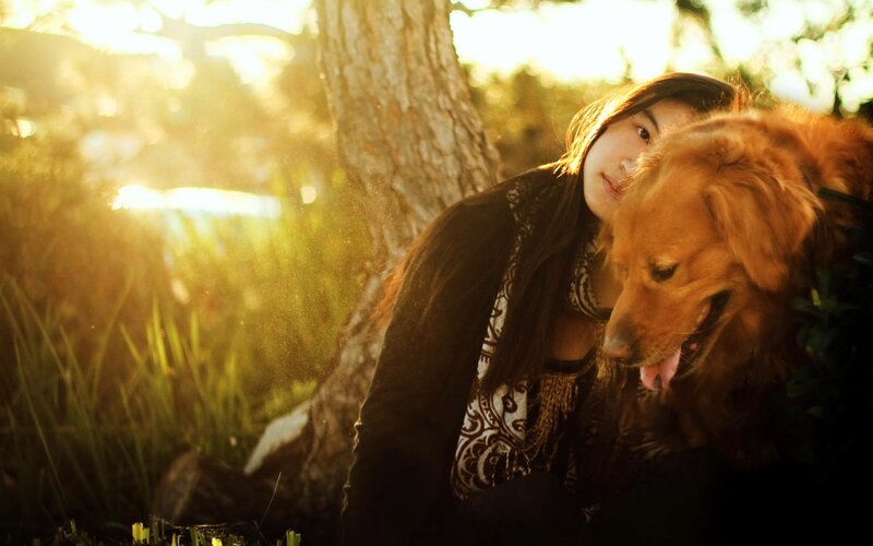 woman with dog in sunset