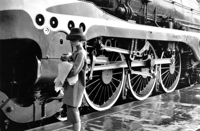 woman with dog near steam train