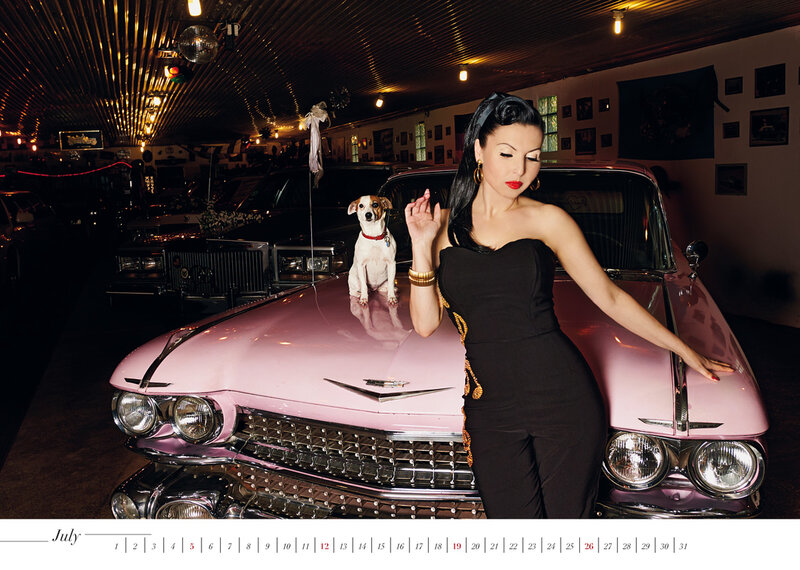 Woman with Dog on Car — Pink