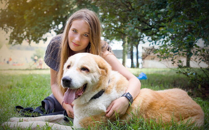 Woman with Dog on Grass — Green, Calm