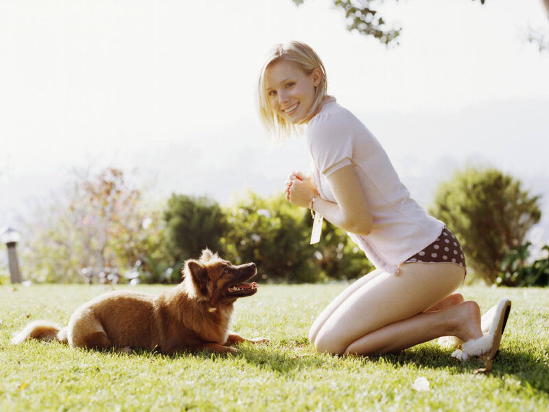 Woman with Dog on Grass — Green