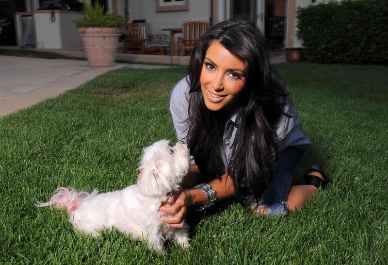 woman with dog on lawn