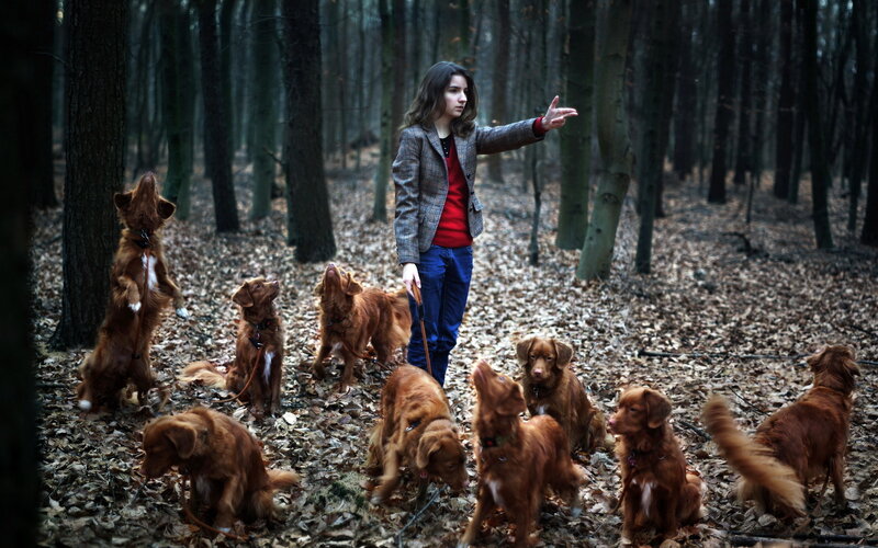Woman with Dogs in Forest — Brown