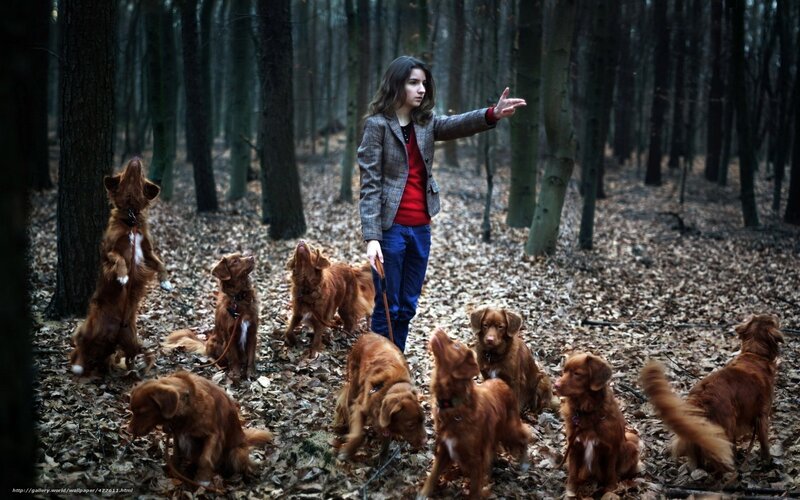 Woman with dogs in forest