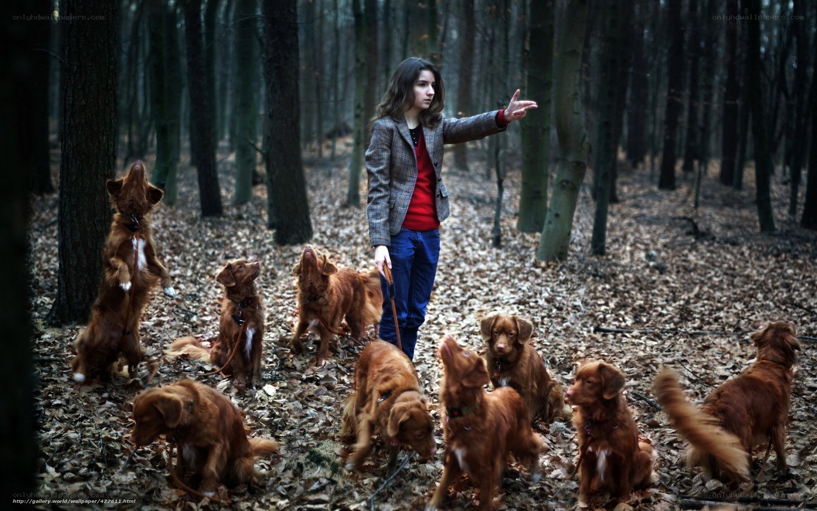 Woman with dogs in forest
