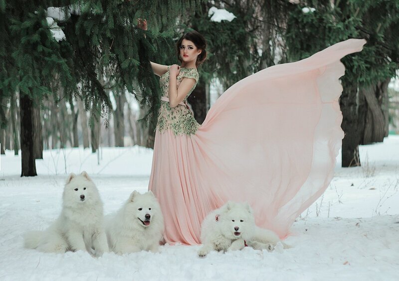 Woman with Dogs in Snow — White