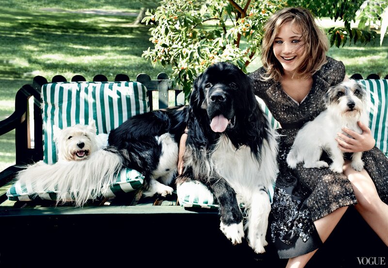 woman with dogs on bench