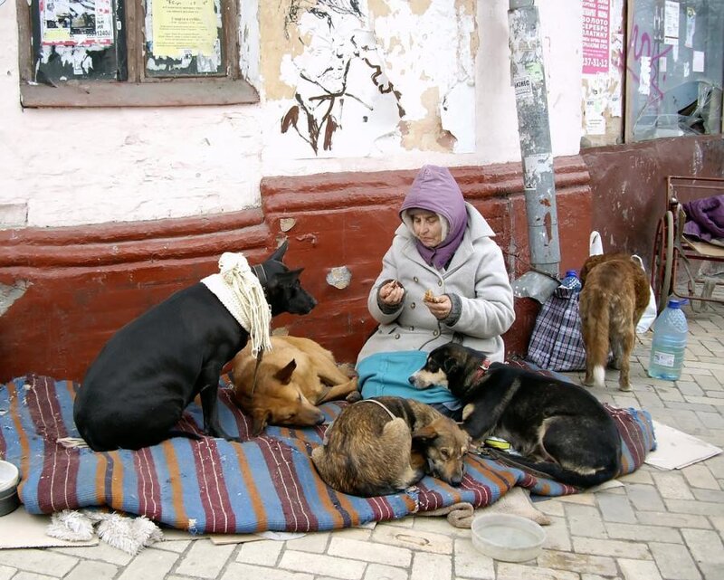 Woman with dogs on street