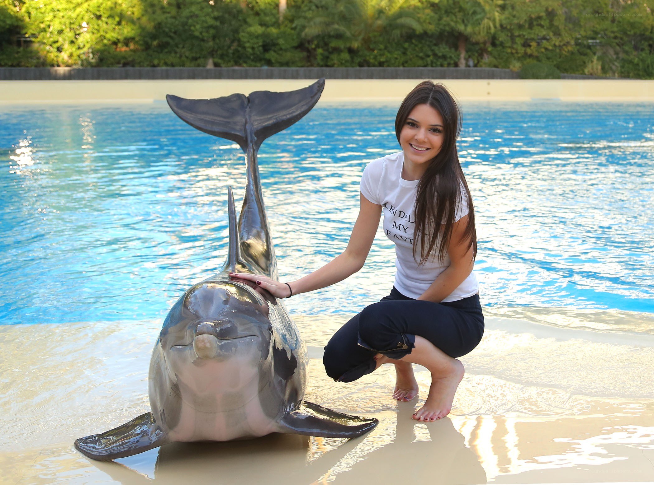 Woman with dolphin at pool