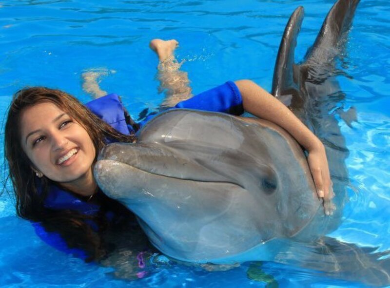 Woman with Dolphin — Blue, Playful