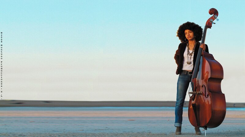 Woman with double bass on beach