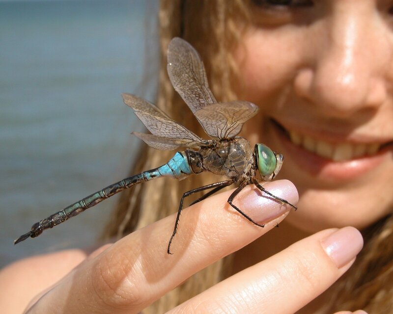 woman with dragonfly on hand