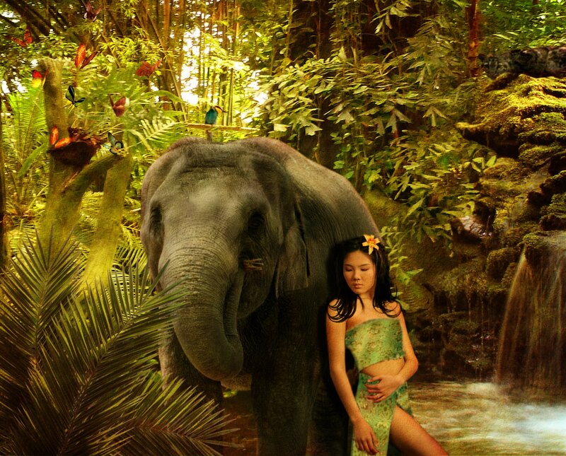 Woman with Elephant — Green, Serene