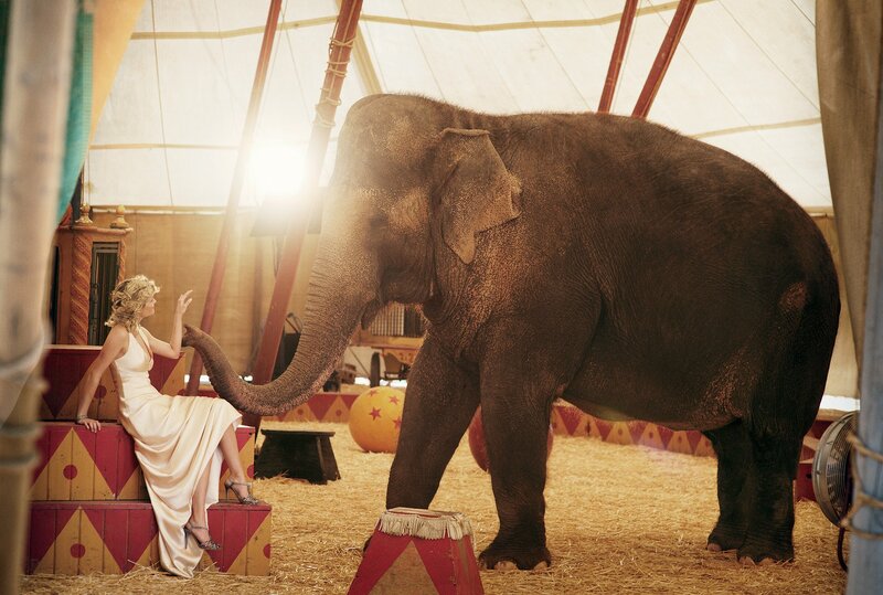 Woman with elephant in circus tent