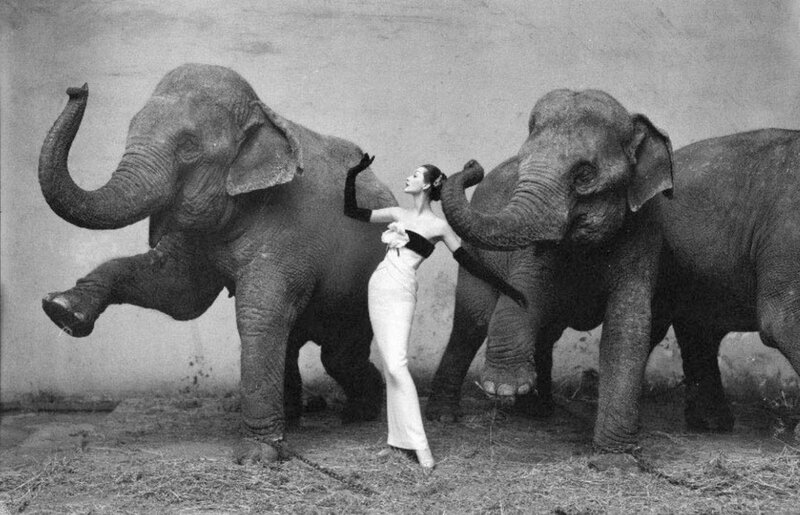 Woman with Elephants — Black