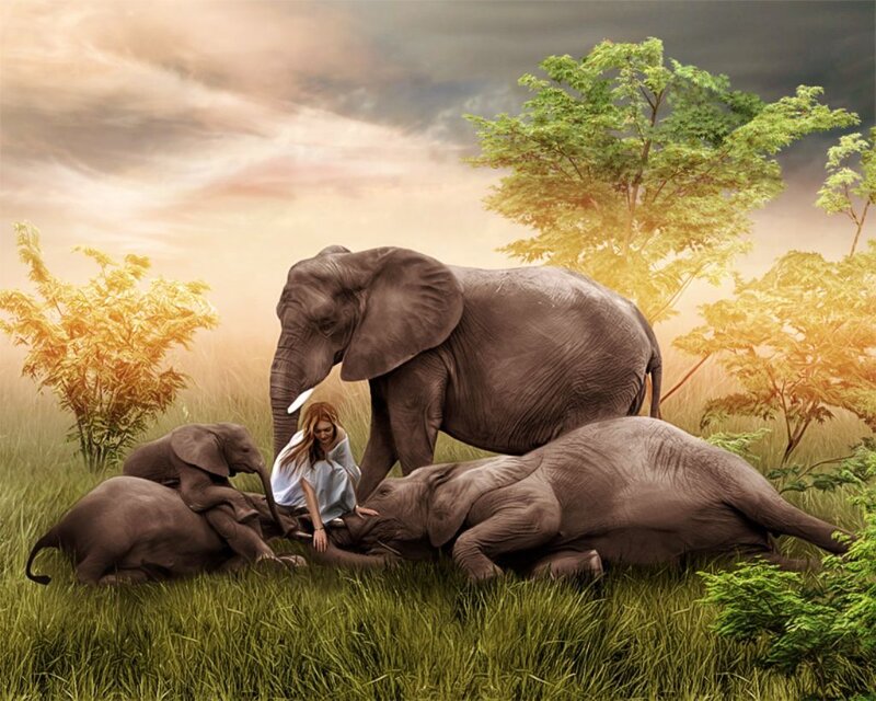 Woman with Elephants — Green, Serene