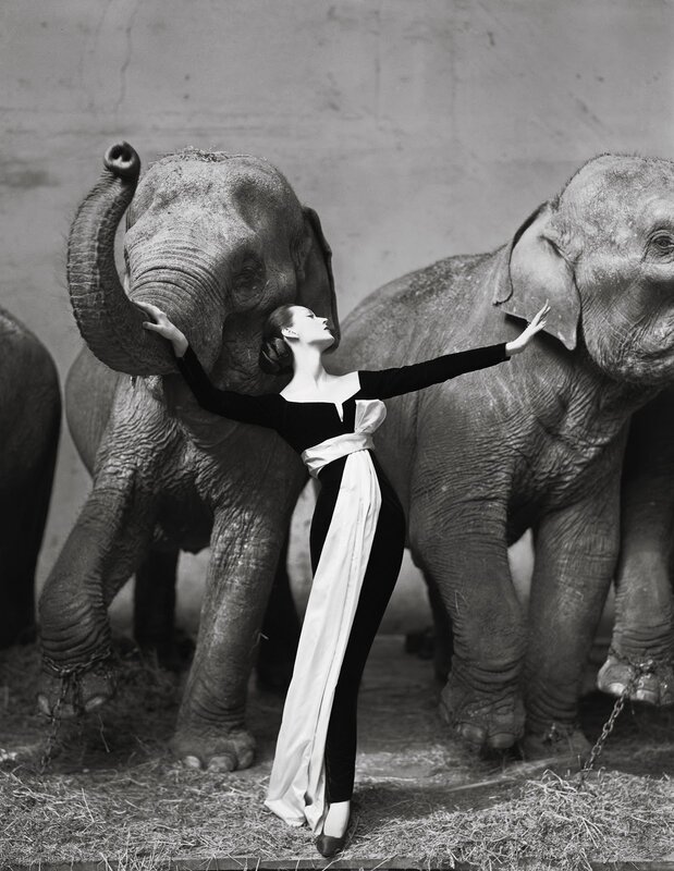 Woman with elephants in black and white