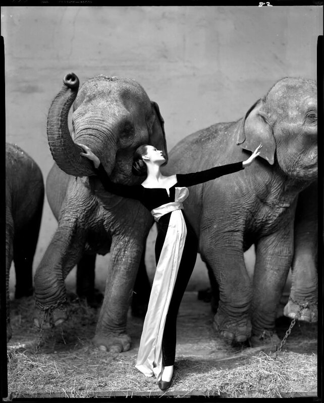 Woman with elephants in black and white