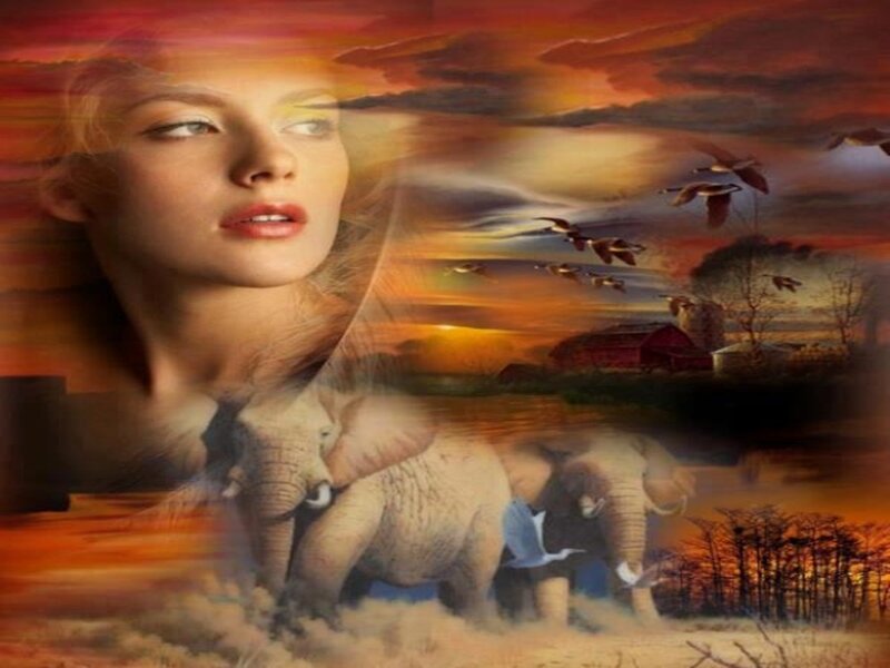 Woman with Elephants — Orange